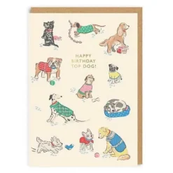 Cath Kidston Stationery*Happy Birthday Top Dog Greeting Card (A6)